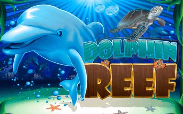 รีวิวเกม Dolphin Reef Jokertm