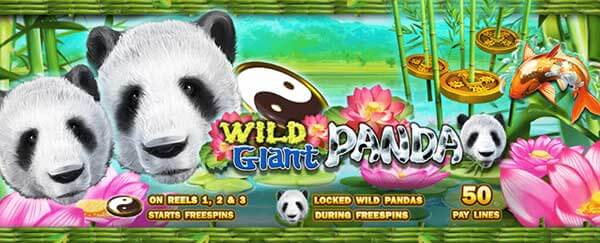 รีวิวเกม Wild Giant Panda Jokertm