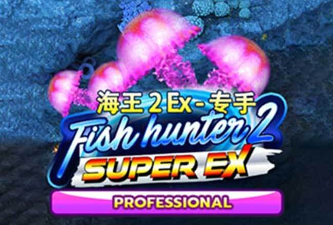 Fish Hunter 2 EX Pro JOERTM