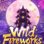 รีวิวเกม Wild Fireworks